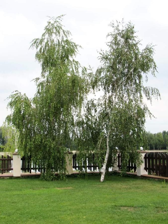 Hotel And Restaurant Complex Lubokray Pereyaslav-Khmelʼnytsʼkyy Exterior foto